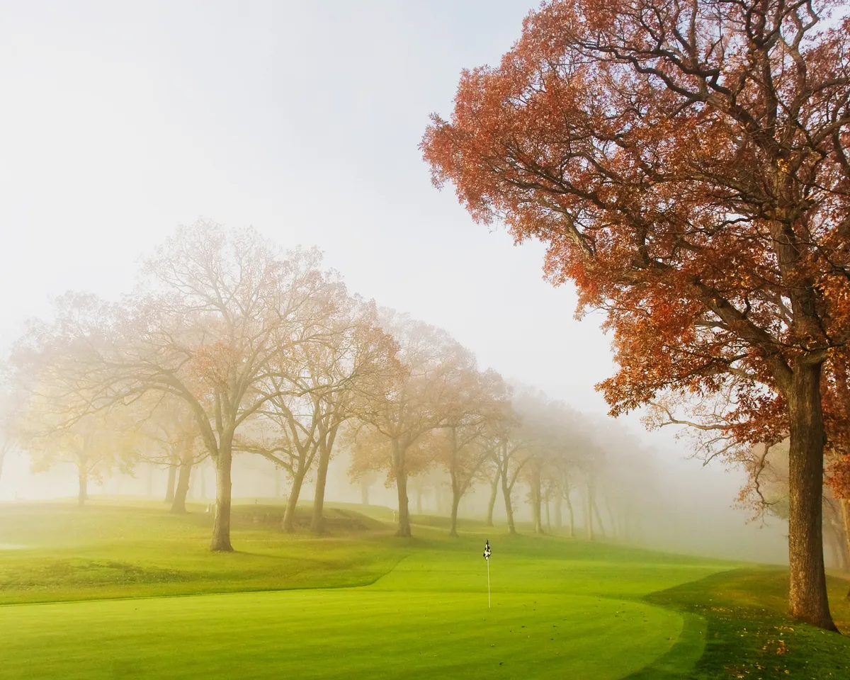 Course-Forward path: rotating gallery of golf course photography